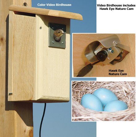 Birdhouse Spy Cam Hawk Eye Nature Cam