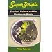 Sherlock Holmes and the Limehouse Horror (Superscripts)