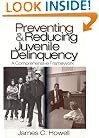 Preventing and Reducing Juvenile Delinquency: A Comprehensive Framework