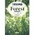 高校総合英語Forest