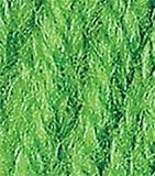Red Heart Super Saver Yarn-Spring Green