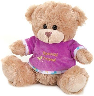 AW Special Friend Bear with Soft Fur and Purple Fleece Top - Great as Gift, Present, or Surprise by Ayannas Wholesale