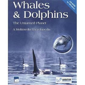 Whales & Dolphins
