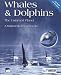 Whales & Dolphins