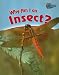 Book Why Am I an Insect? (Classifying Animals)