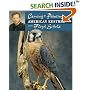 Carving & Painting the American Kestrel (Carving & Painting)