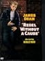 Rebel Without a Cause (Single Disc Edition)