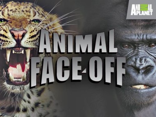 Animal Face Off: Season 1