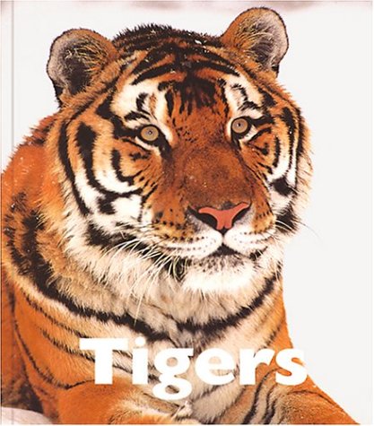 Tigers (Naturebooks: Carnivores)