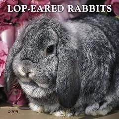 Lop-Eared Rabbits Wall Calendar 2005