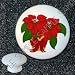 Search : Christmas Winter ~ Poinsettia ~ Drawer Pulls Knobs