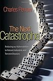 Omslagsbilde av The Next Catastrophe
