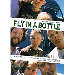 Fly in a Bottle