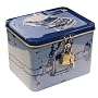 Haynes Mini Money Box