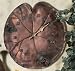 Outdoor Thermometers by Hen Feathers Lily Pad Thermometer in Copper