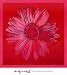 (36x40) Andy Warhol Daisy 1982 Crimson and Pink Art Print Poster