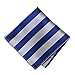TieMart Royal Blue and Silver Striped Pocket Square