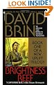 Brightness Reef (New Uplift Trilogy)