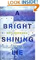 A Bright Shining Lie: John Paul Vann and America in Vietnam