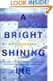 Bright Shining Lie