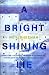 A Bright Shining Lie: John Paul Vann and America in Vietnam