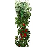 Felknor Ventures TT021112 Topsy Turvy Tomato and Herb Planter (Discontinued by Manufacturer)