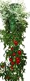 Felknor Ventures TT021112 Topsy Turvy Tomato and Herb Planter