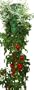 Felknor Ventures TT021112 Topsy Turvy Tomato and Herb Planter