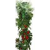Felknor Ventures TT021112 Topsy Turvy Tomato and Herb Planter