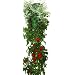 Felknor Ventures TT021112 Topsy Turvy Tomato and Herb Planter