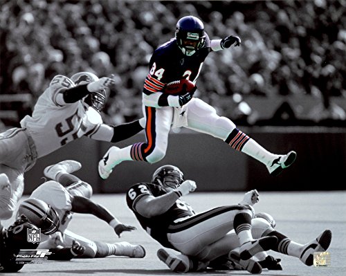 Walter Payton - Chicago Bears Spotlight Action Glossy Photograph Photo Print