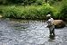 Wallmonkeys Peel and Stick Wall Decals - Fly Fishing - Removable Graphic