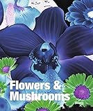 Cover for 9783777421544