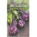 140 recettes pour cuisiner les l�gumes anciens