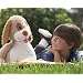 Happy Nappers Dog 51ALJ86WItL. AA75 Happy Nappers Dog