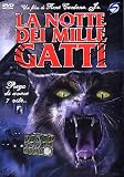 La Notte Dei Mille Gatti