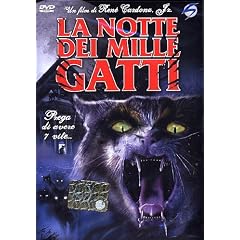La Notte Dei Mille Gatti