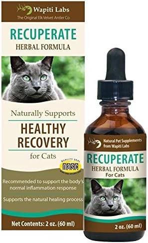 Wapiti Labs Recuperate Herbal Formula for Healthy Recovery - 2 Oz