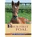 Your First Foal: Horse Breeding for Beginners