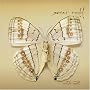 White Moth