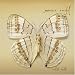 White Moth [Australian Import]