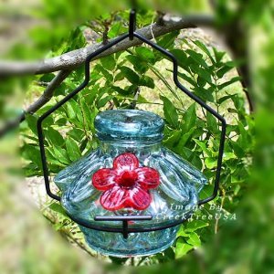 Parasol PDCMSCL Pot de Stars Clear