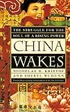 China Wakes: The Struggle for the Soul of a Rising Power