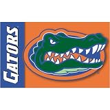 BSI Florida Gators Premium 3x5 Flag
