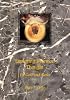 Exploring Mormon Thought: Of God and Gods (Exploring Mormon Thought)