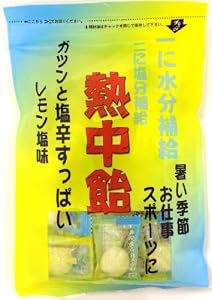 井関食品 熱中飴レモン塩味 100g×10袋