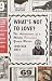 What's Not to Love?: The Adventures of a Mildly Perverted Young Writer by Jonathan Ames ISBN 0375726497