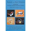Animals of the Four Windows: Integrating Thinking, Sensing, Feeling and Imagery