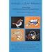 Animals of the Four Windows: Integrating Thinking, Sensing, Feeling and Imagery