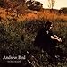 Andrew Bird, Noble Beast, 発売中